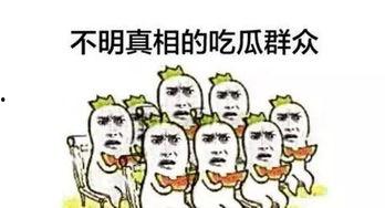 网红 吃瓜群众,吃瓜群众热议焦点