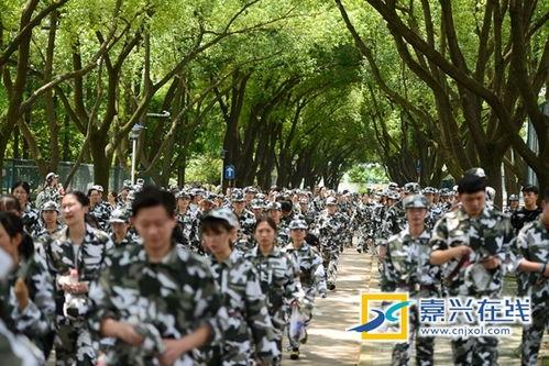 吃瓜官网军训跳舞,青春舞动，活力四溢