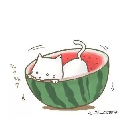 网课吃瓜搞笑图片卡通版