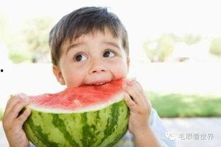 吃瓜网红故事梗概,网红吃瓜背后的故事揭秘
