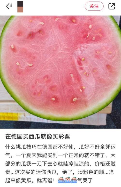 吃瓜网全球网,揭秘网络舆论场的新动向