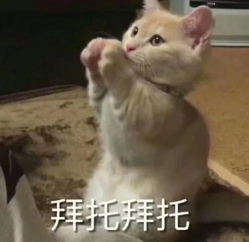 抖音吃瓜千万网红,揭秘千万网红背后的故事