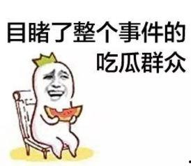 吃瓜群众网地址,带你走进网络舆论的焦点之地