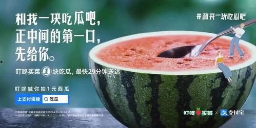苏州酒吧网红吃瓜,揭秘网红吃瓜背后的故事