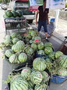 新沂网红吃瓜事件视频