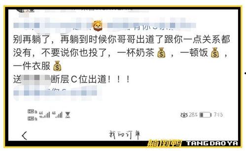 饭圈吃瓜 百度网盘