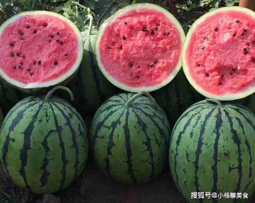 网红吃瓜文案怎么写好一点