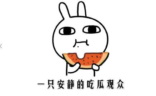抖音吃瓜网,揭秘网红圈幕后故事，带你领略网络红人真实生活