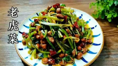 51吃瓜网老虎菜全集,老虎菜全集精彩剧情大盘点