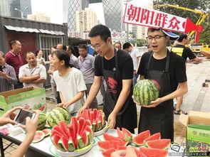 吃瓜网 热心的朝阳群众,吃瓜网揭秘热点事件
