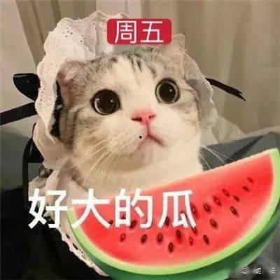 长乐网红小鹿姐姐吃瓜事件,揭秘网络红人的争议瞬间