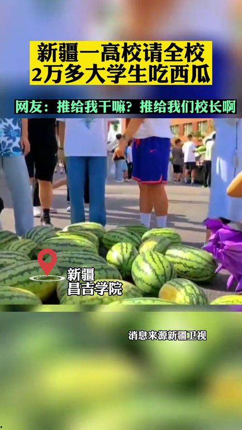各大高校吃瓜网,揭秘各大高校吃瓜网背后的热点事件